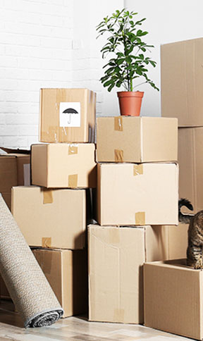 Furniture & Office Moves